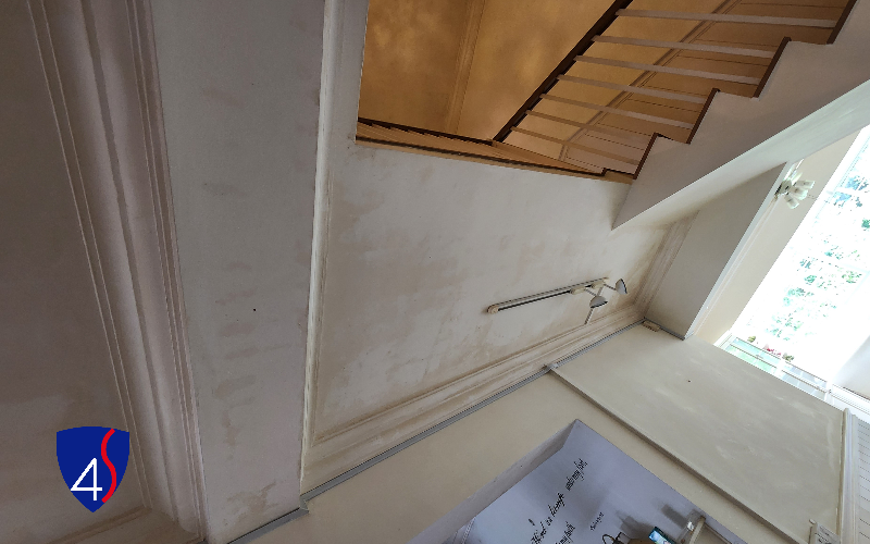 A Comprehensive Guide to Detecting Mold in Your Singapore Home - Four ...